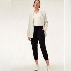 ARITZIA WILFRED Buffon Pants M